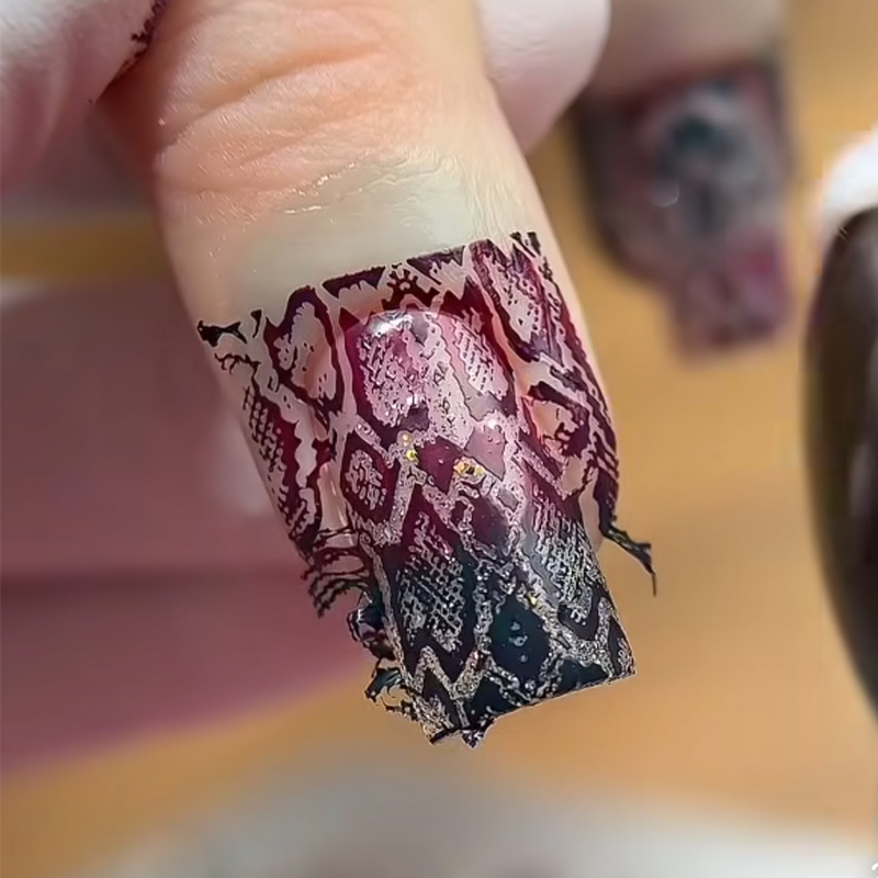 الحيوان صورة ثعبان ليوبارد مسم - مراجعة Nail Art Zebra Design وسعره